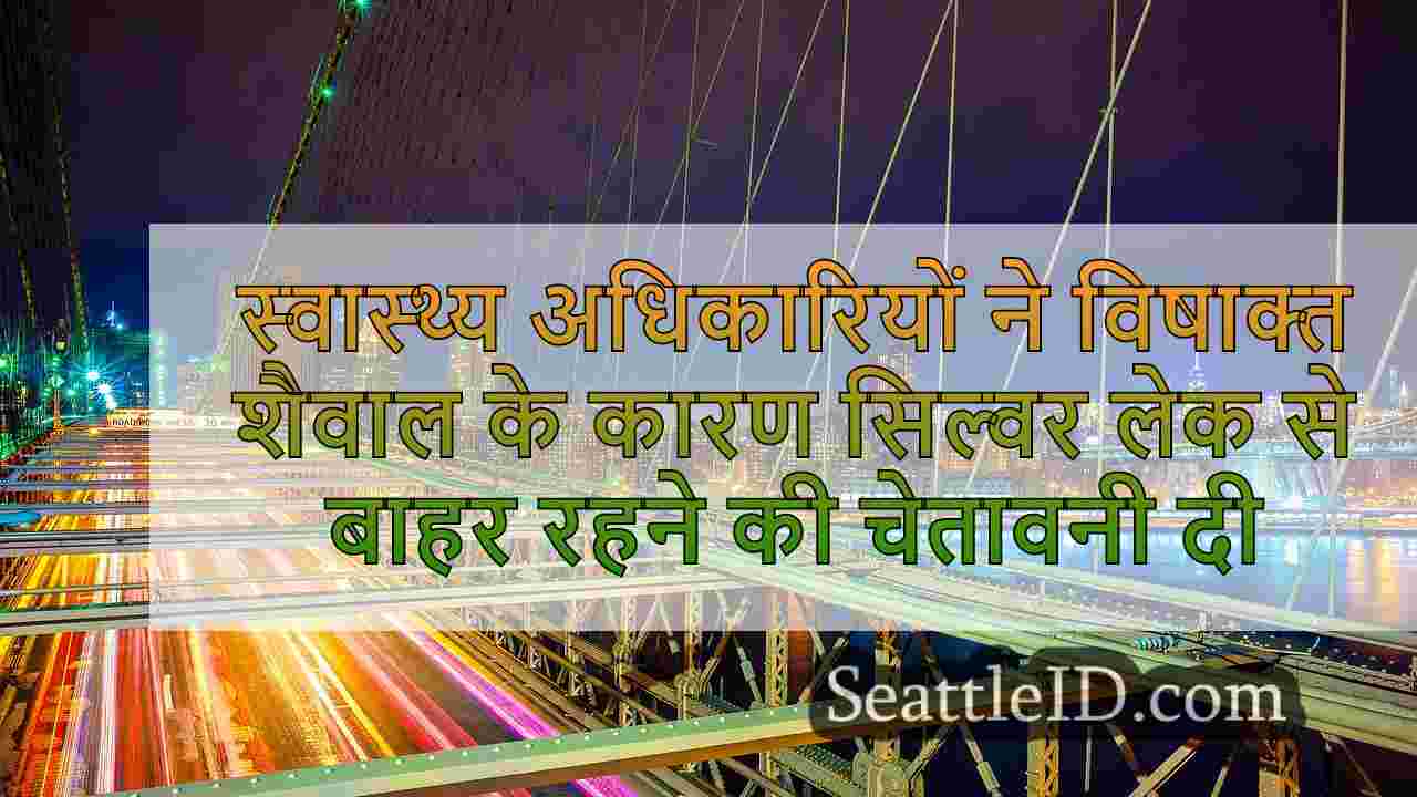 सिएटल समाचार SeattleID