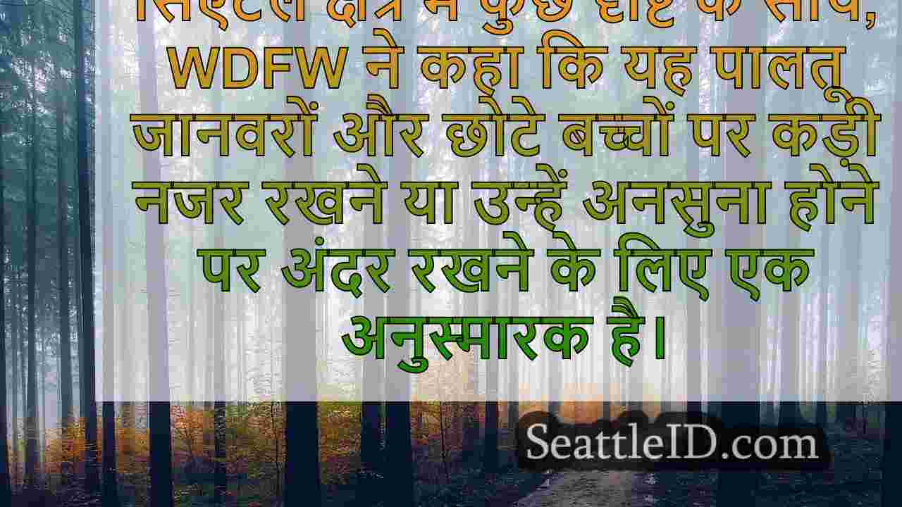 सिएटल समाचार SeattleID