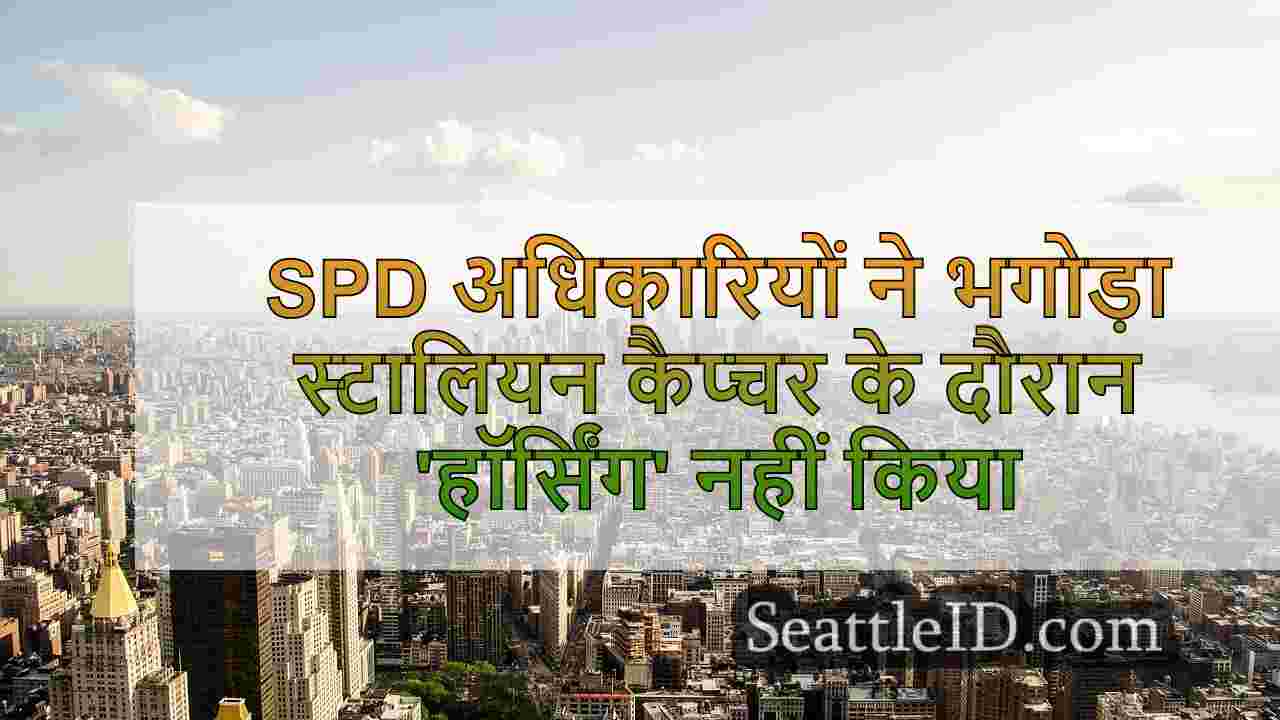 सिएटल समाचार SeattleID