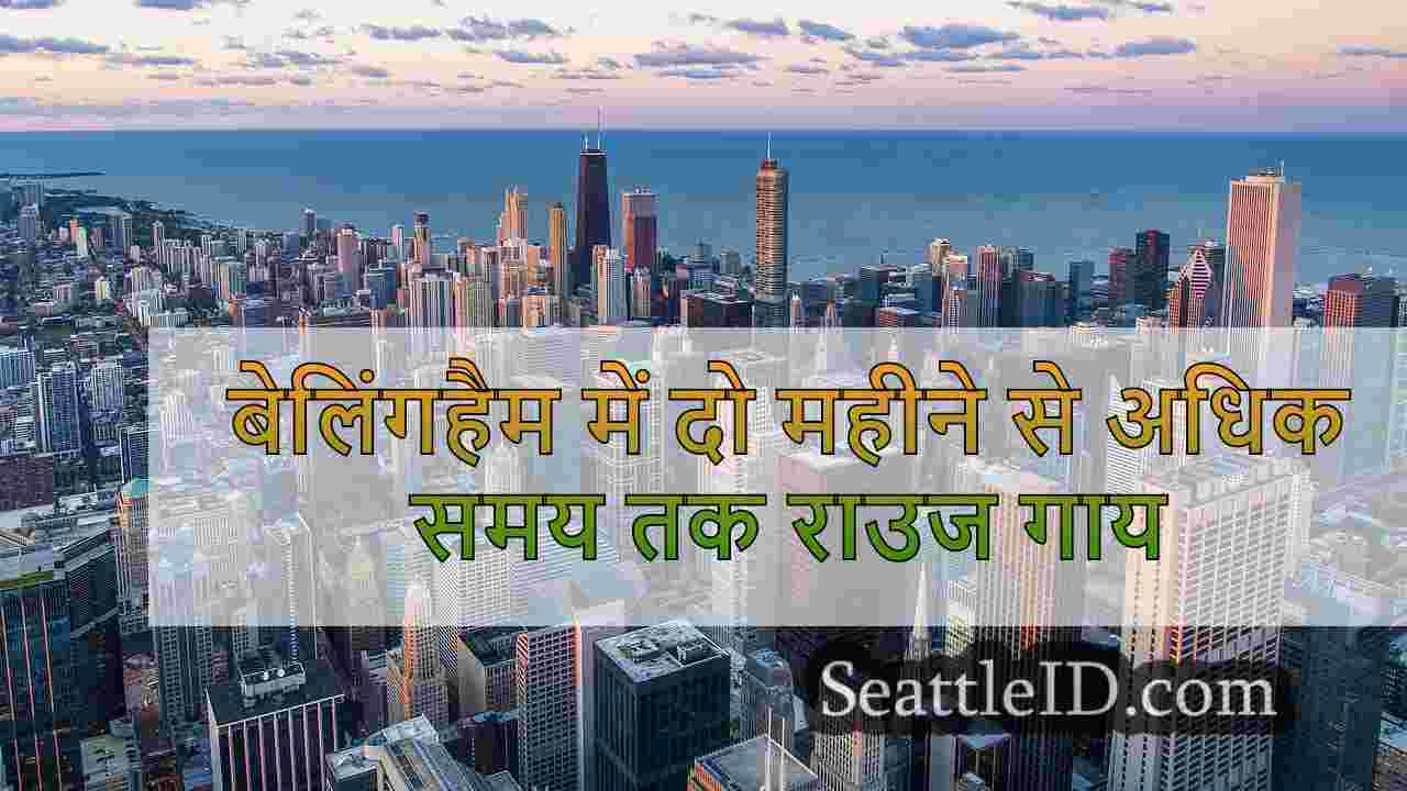 सिएटल समाचार SeattleID