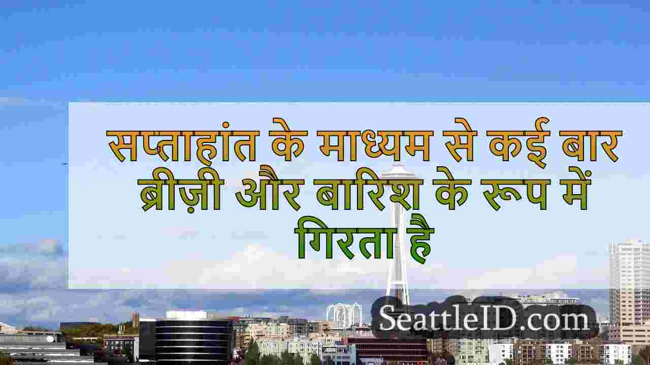 सिएटल समाचार SeattleID