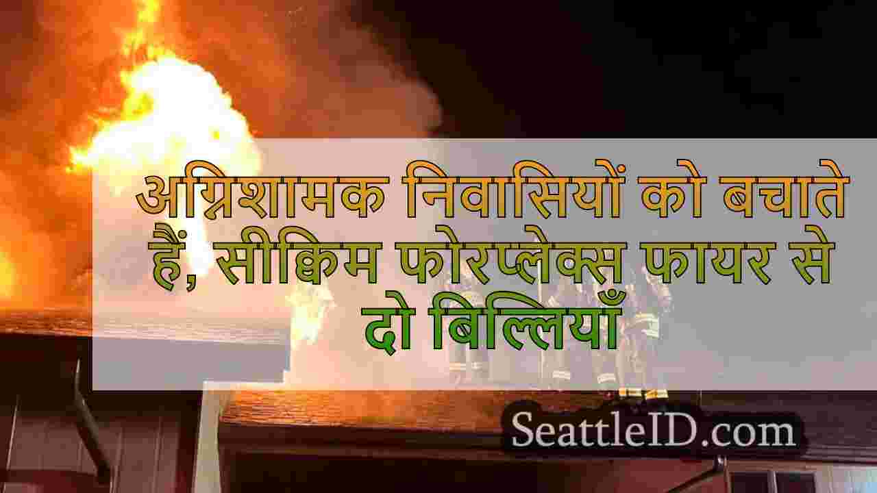 अग्निशामक निवासियों को बचाते हैं,