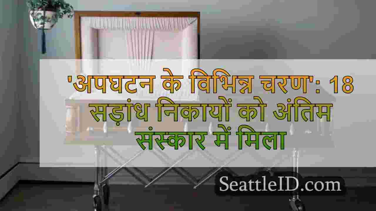 ‘अपघटन के विभिन्न चरण’: 18 रोटिंग बॉडीज