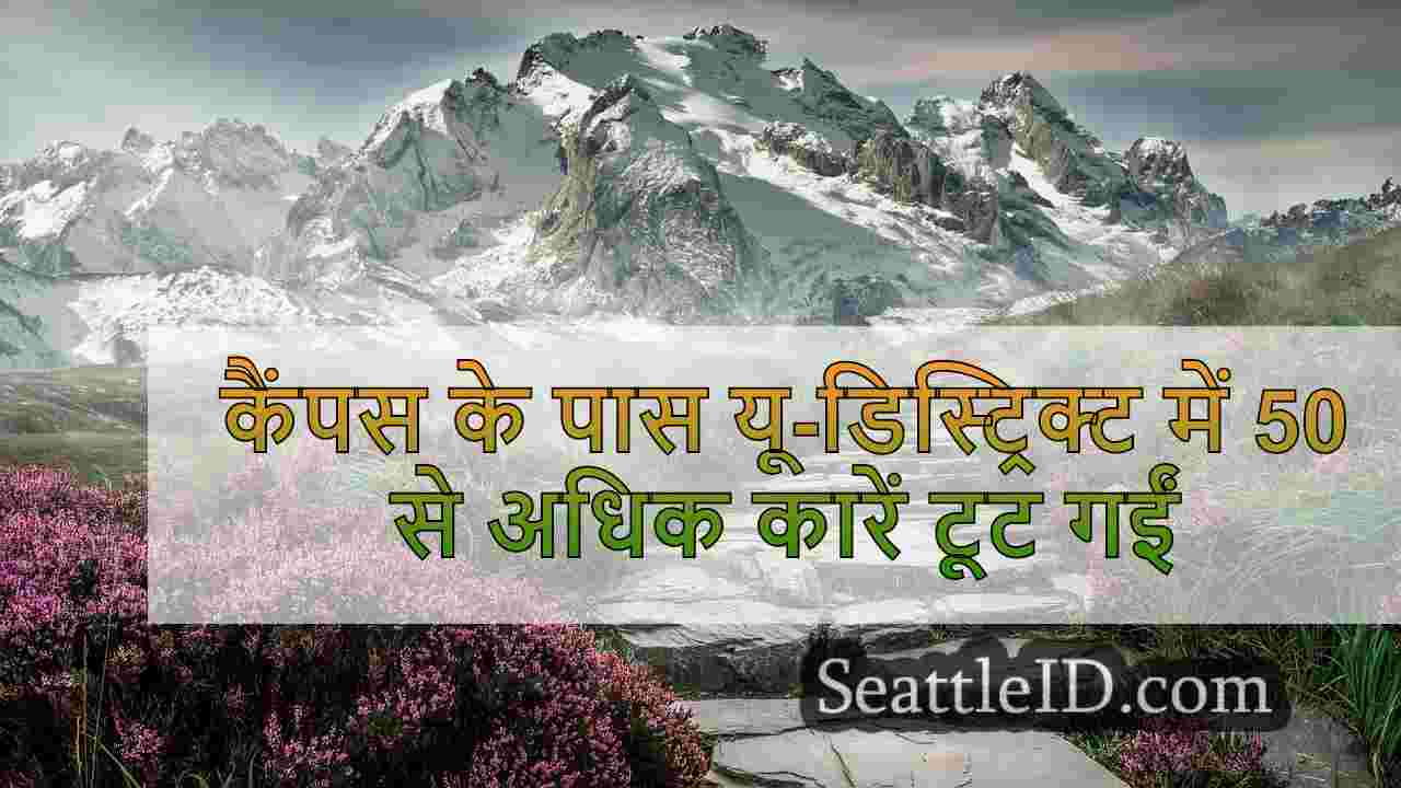 सिएटल समाचार SeattleID