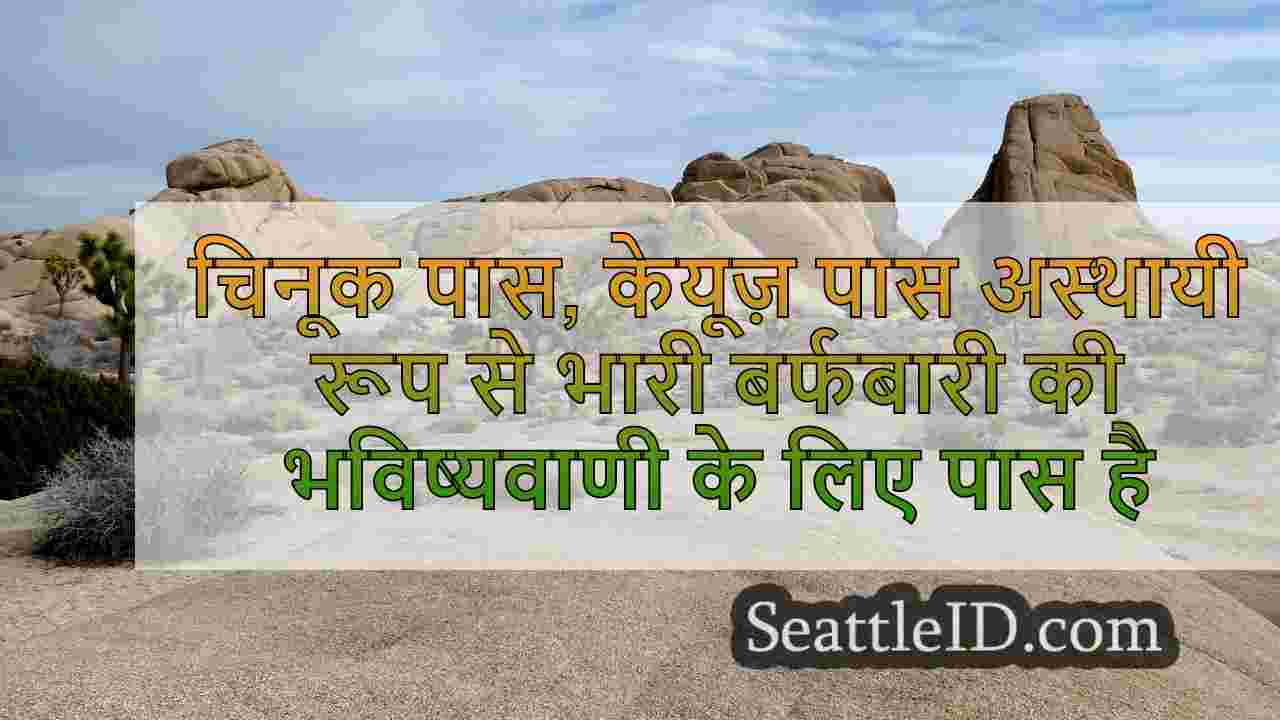सिएटल समाचार SeattleID