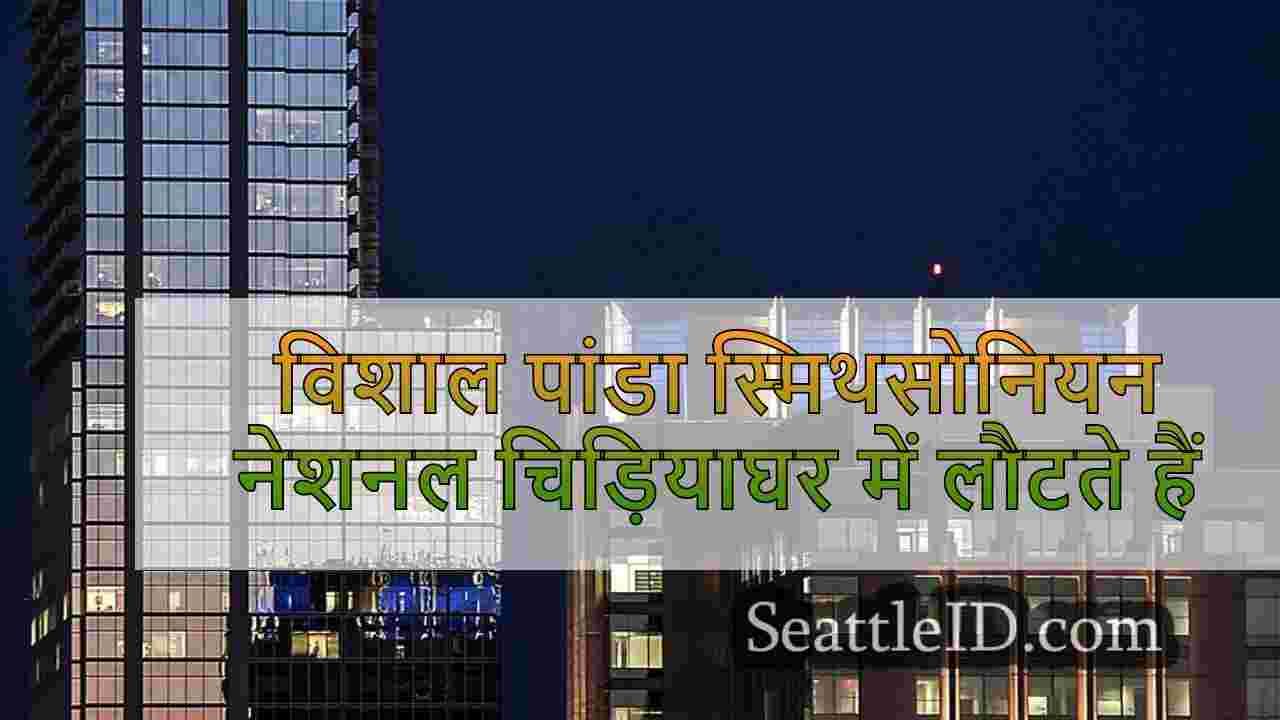 सिएटल समाचार SeattleID