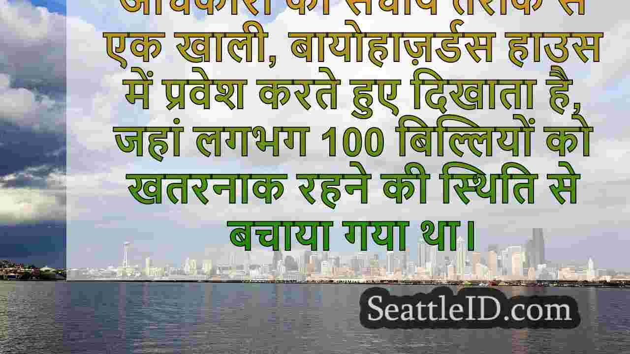 वीडियो: लगभग 100 बिल्लियों को WA में