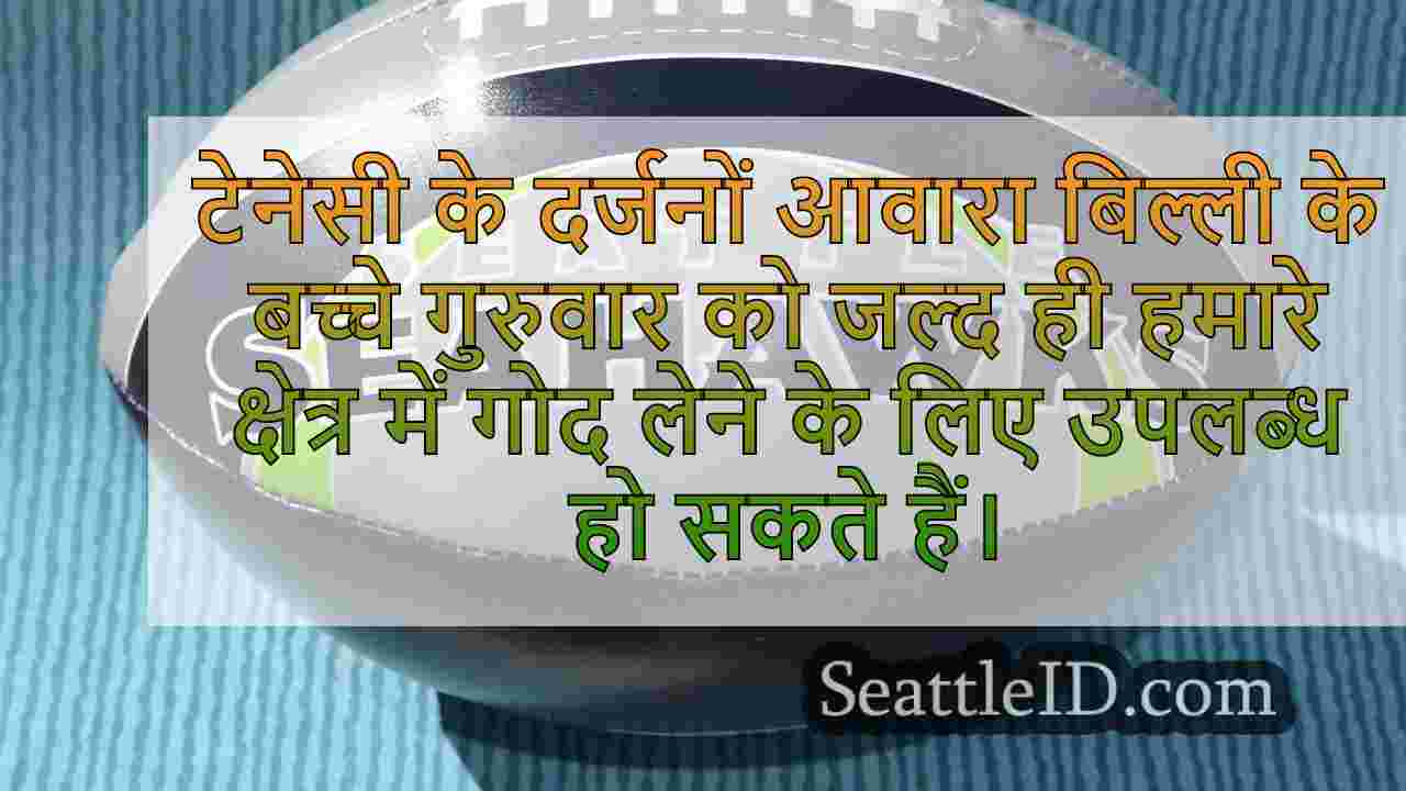 सिएटल समाचार SeattleID