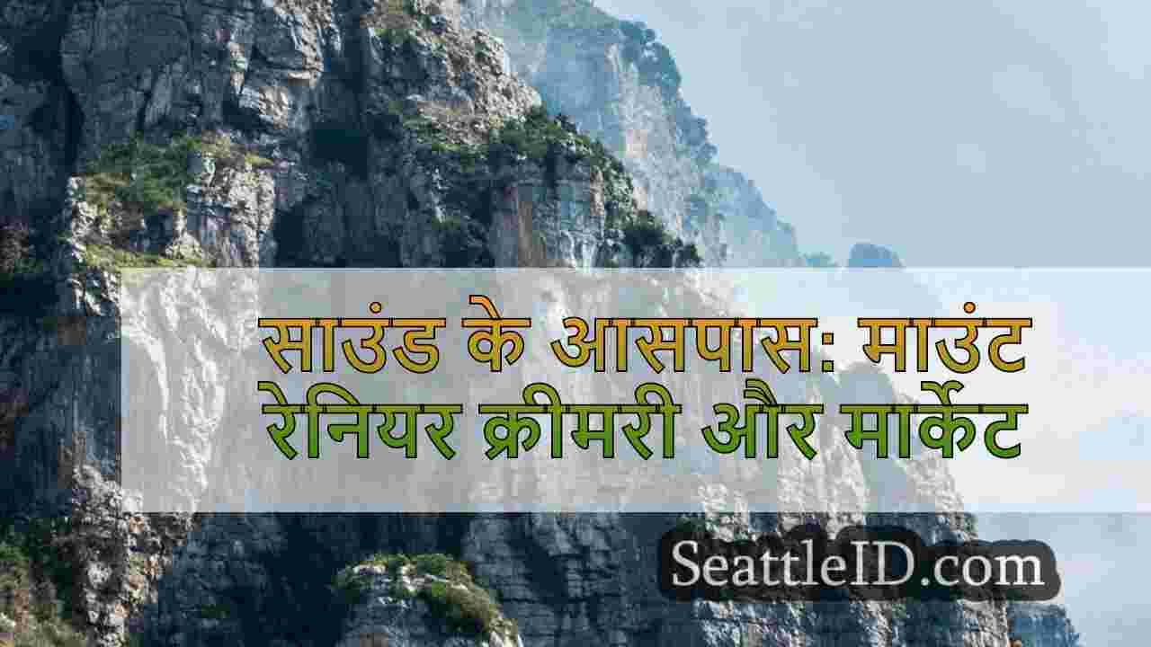 सिएटल समाचार SeattleID