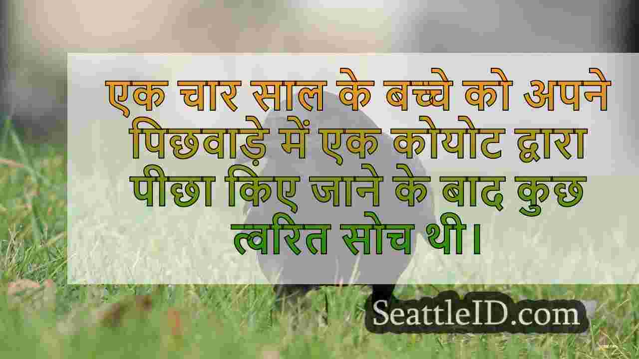 सिएटल समाचार SeattleID