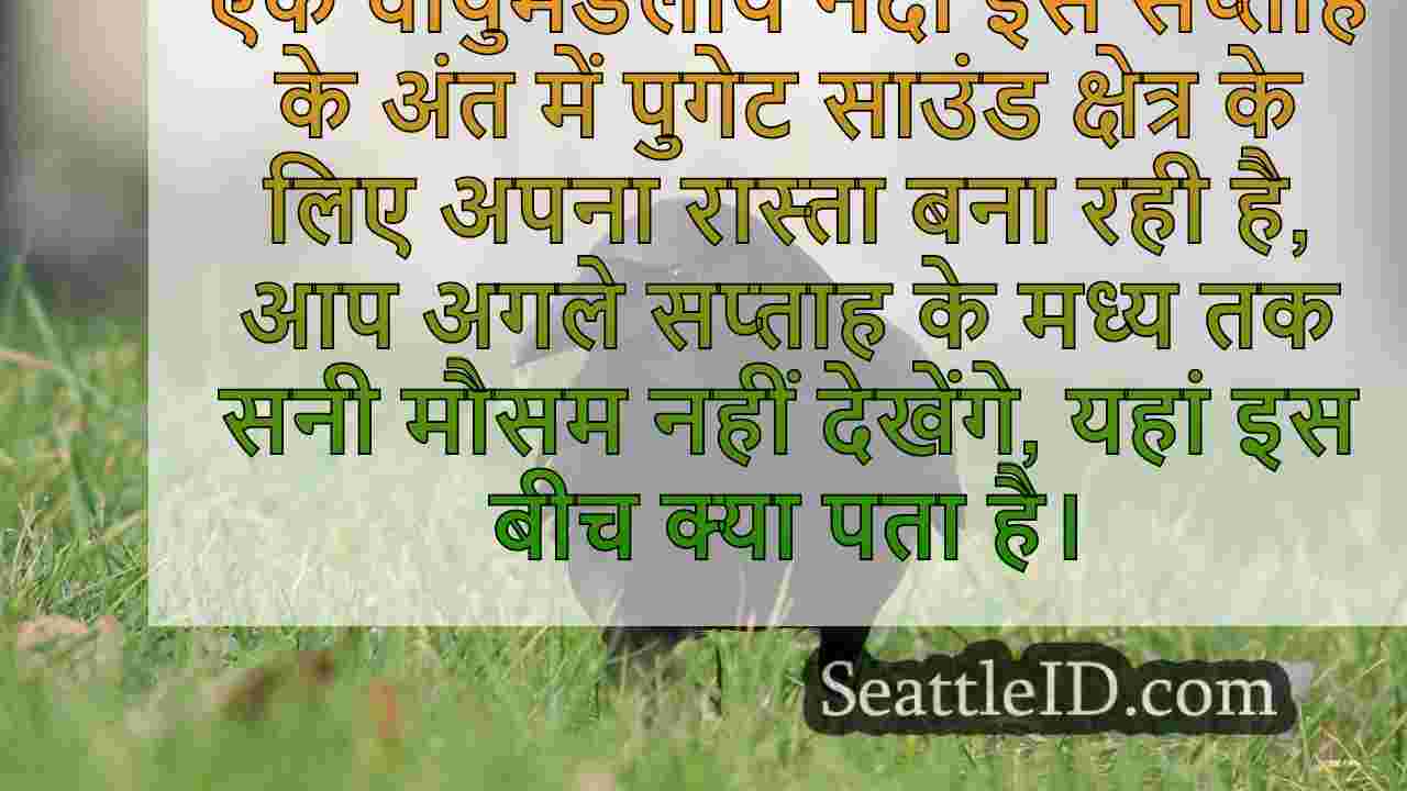 पश्चिमी वा पावर वायुमंडलीय नदी के रूप