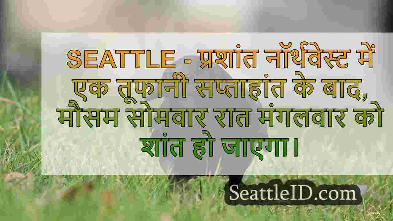 सिएटल का मौसम: रिकॉर्ड-सेटिंग वीकेंड