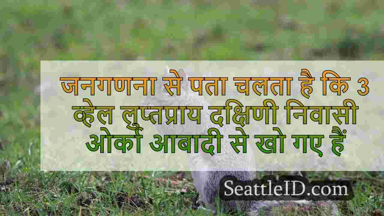 सिएटल समाचार SeattleID