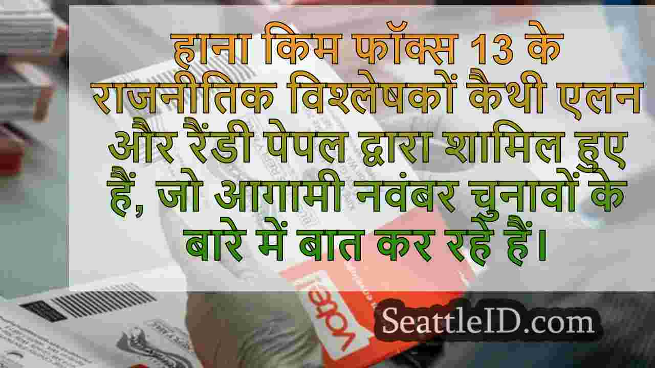 अपने WA बैलट को याद किया?यहाँ एक