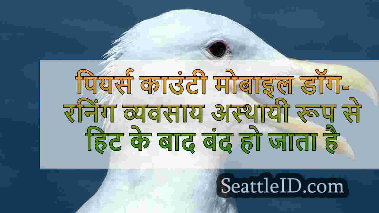 पियर्स काउंटी मोबाइल डॉग-रनिंग बिजनेस