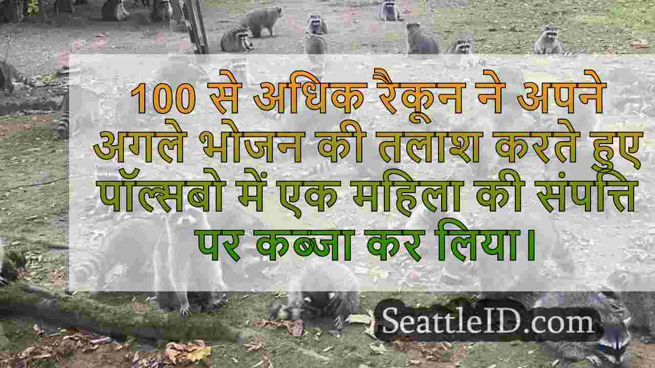 'शब्द रैकून लैंड में बाहर निकला':