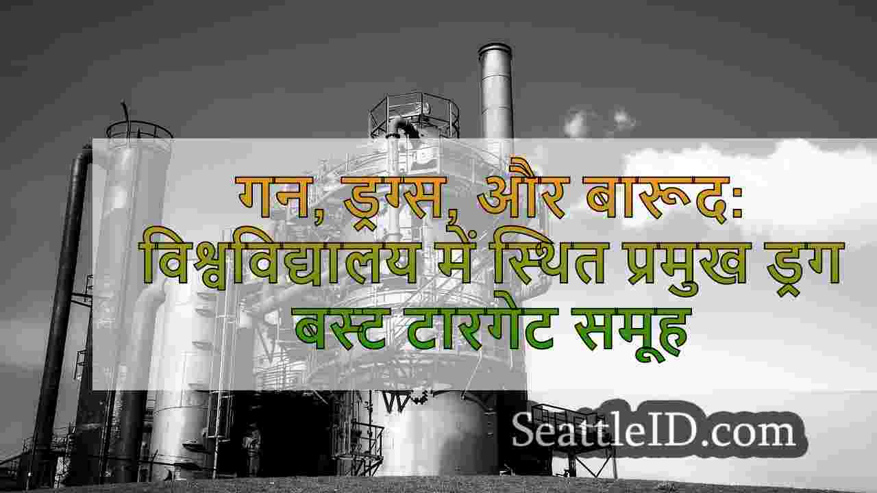 बंदूकें, ड्रग्स, और बारूद: