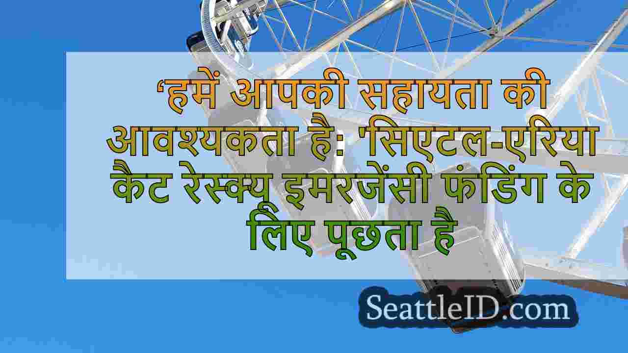 सिएटल समाचार SeattleID