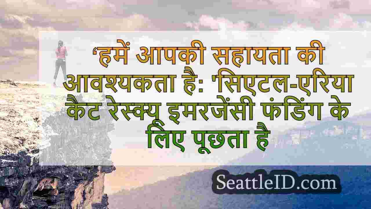 सिएटल समाचार SeattleID