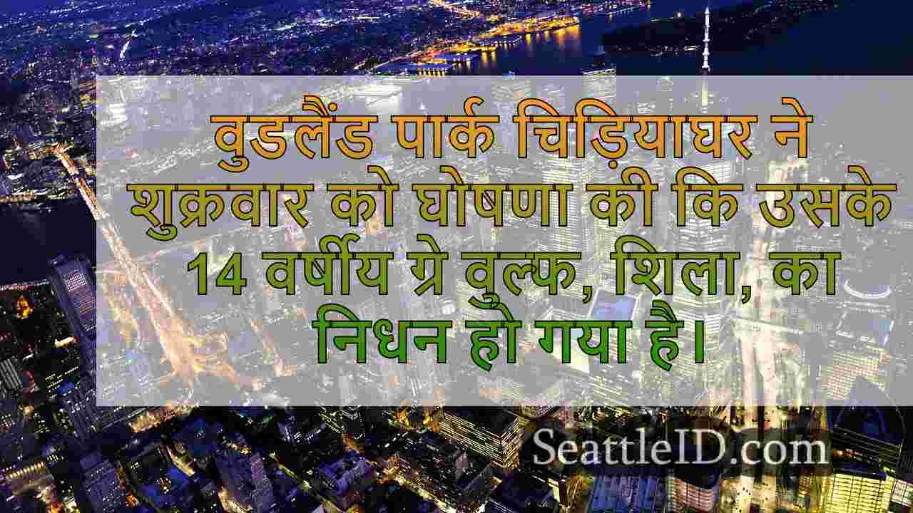 सिएटल समाचार SeattleID