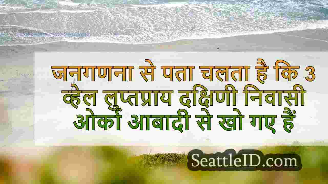 सिएटल समाचार SeattleID