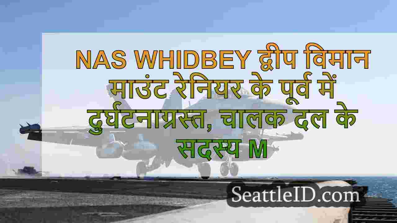 NAS WHIDBEY द्वीप विमान माउंट रेनियर के
