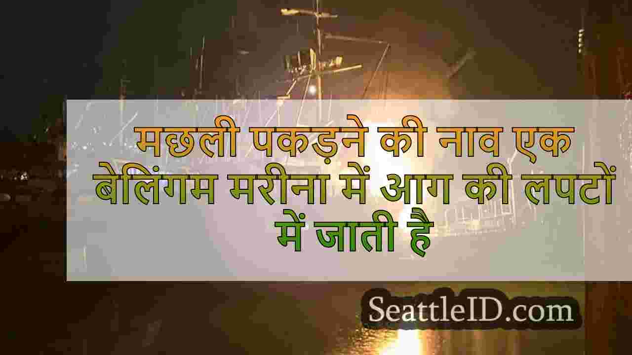 मछली पकड़ने की नाव एक बेलिंगम मरीना में