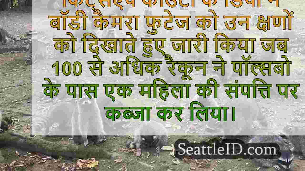 वीडियो: 100+ रेककून छापे पोल्सबो महिला