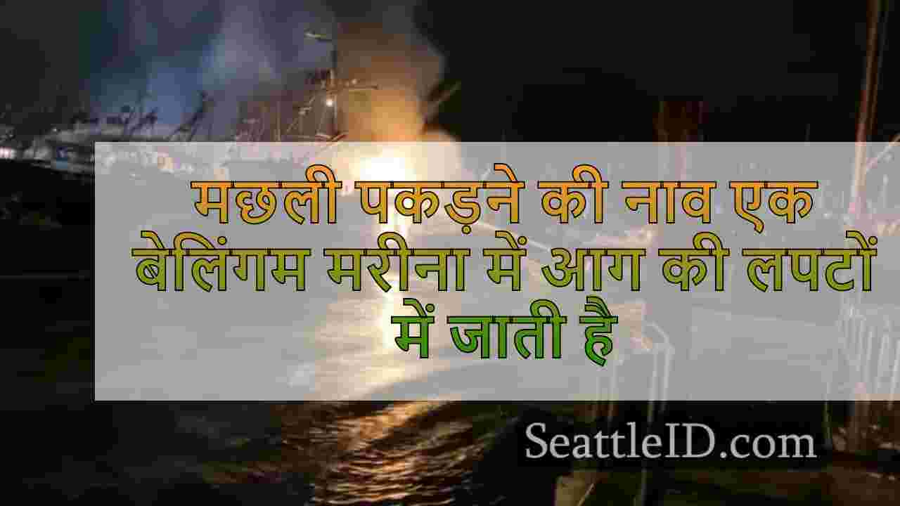 सिएटल समाचार SeattleID