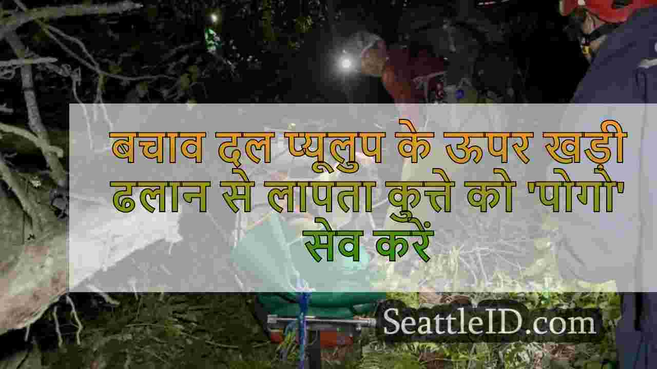 बचाव दल प्यूलुप नदी के ऊपर खड़ी ढलान से