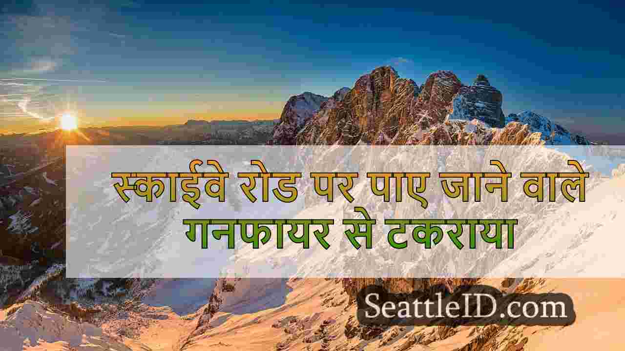 सिएटल समाचार SeattleID