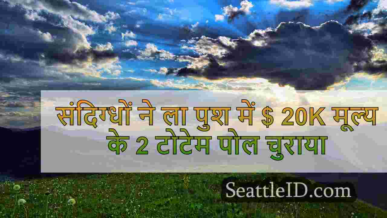 सिएटल समाचार SeattleID