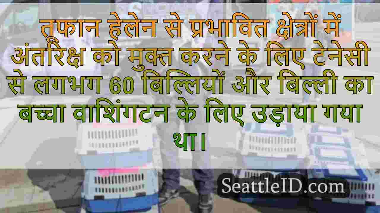 सिएटल समाचार SeattleID