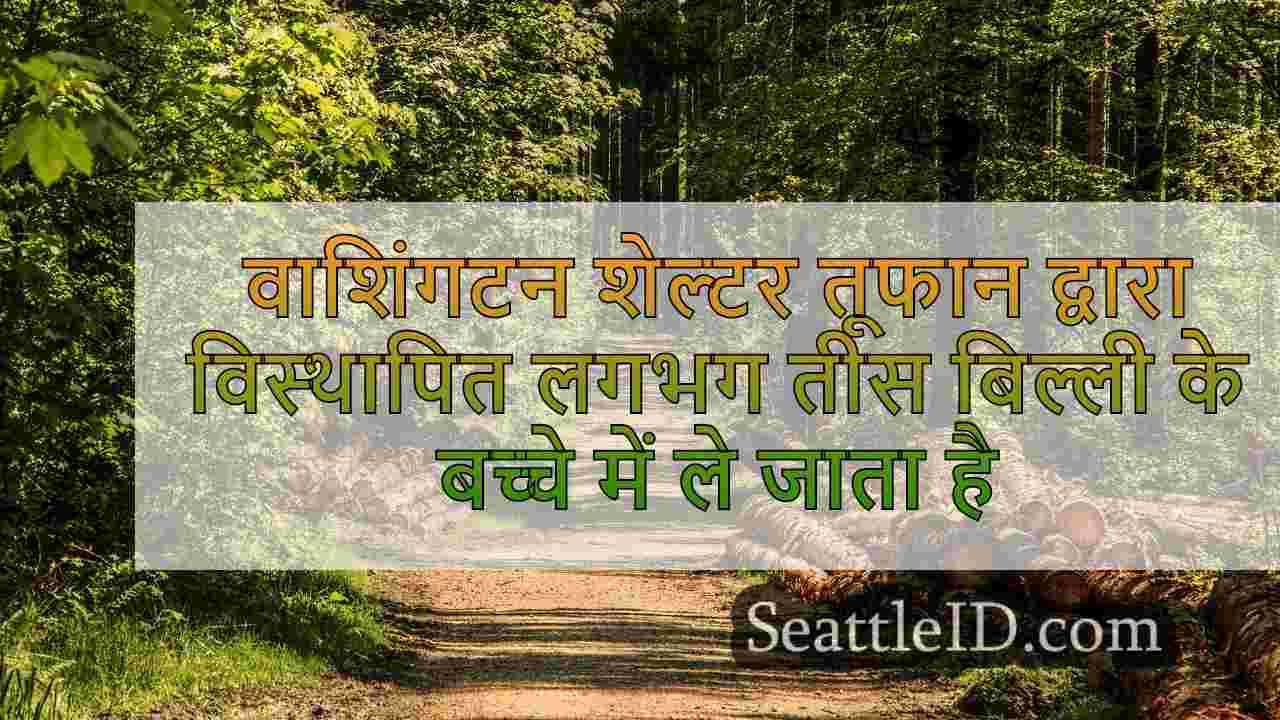 सिएटल समाचार SeattleID