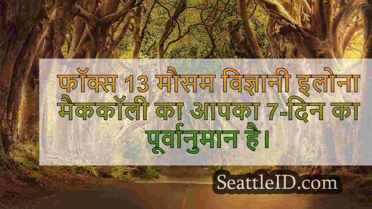 सिएटल समाचार SeattleID