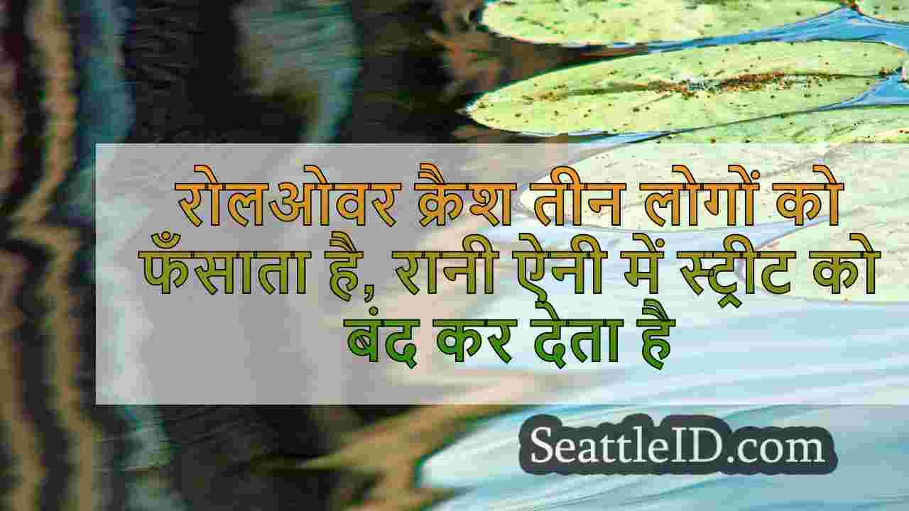 सिएटल समाचार SeattleID