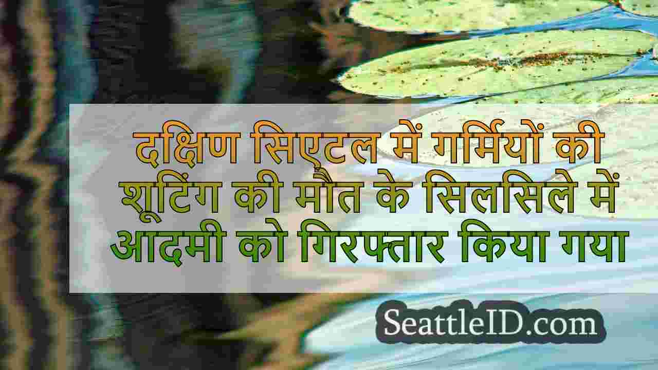 सिएटल समाचार SeattleID