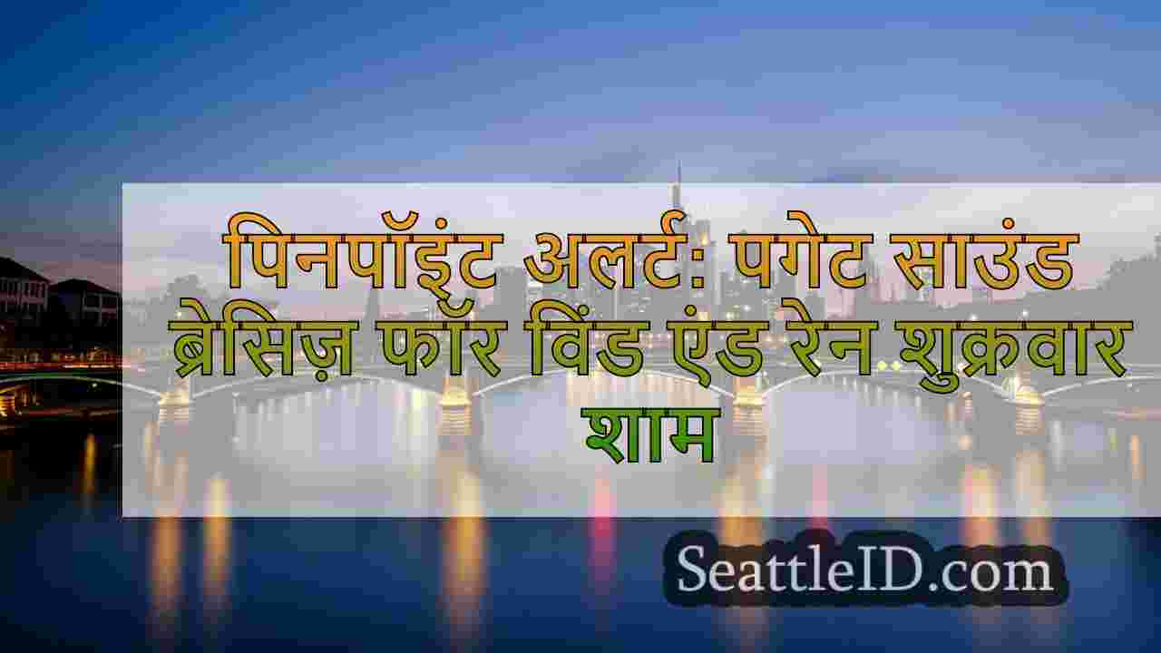 सिएटल समाचार SeattleID