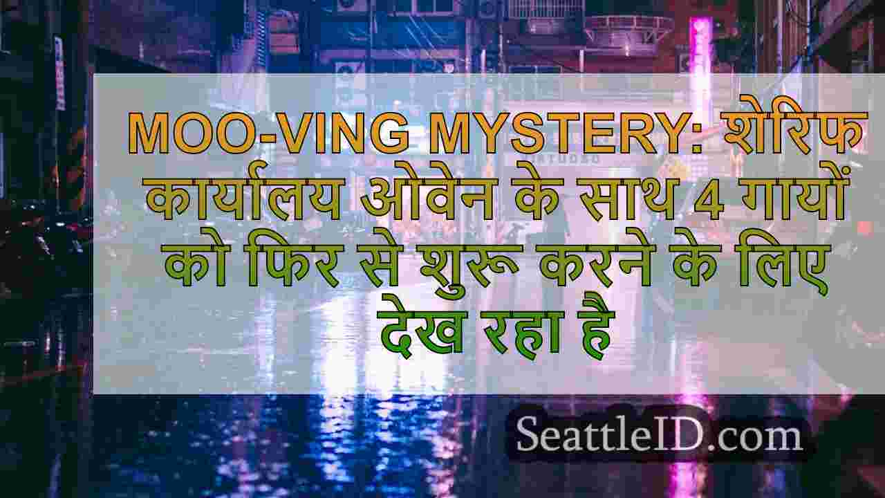 सिएटल समाचार SeattleID