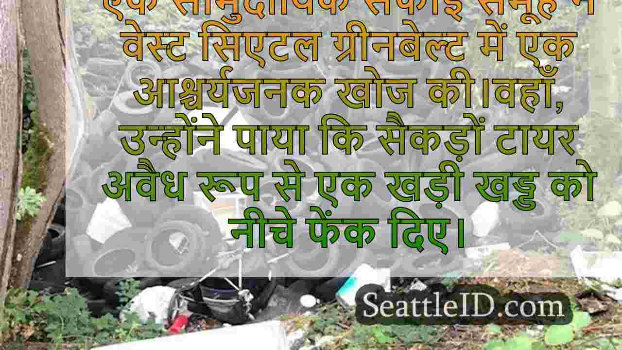 वेस्ट सिएटल ग्रीनबेल्ट, क्लीनअप में