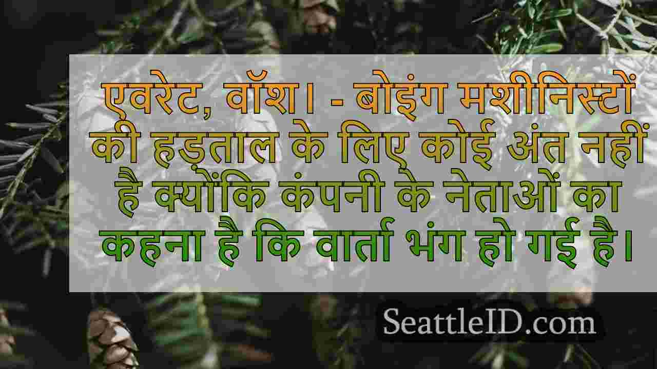 सिएटल समाचार SeattleID