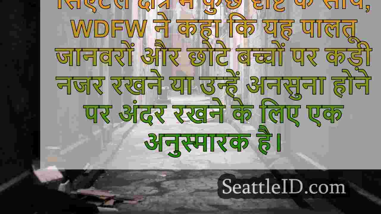 सिएटल समाचार SeattleID