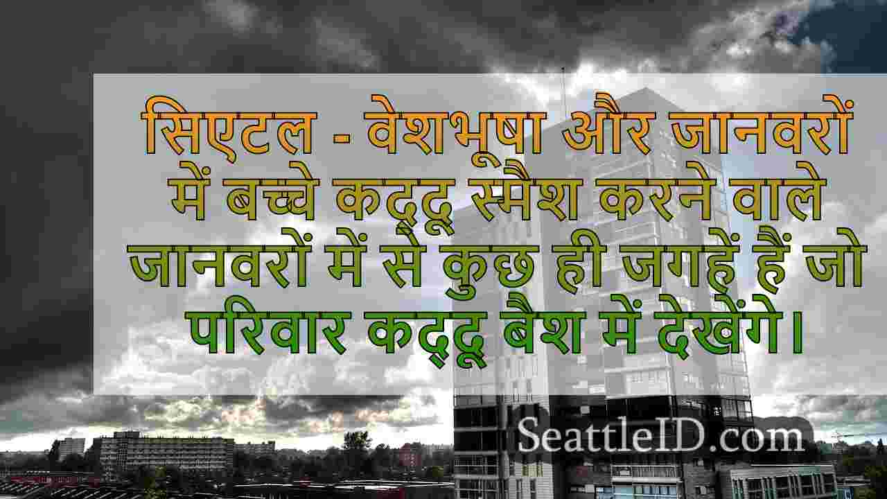 सिएटल समाचार SeattleID
