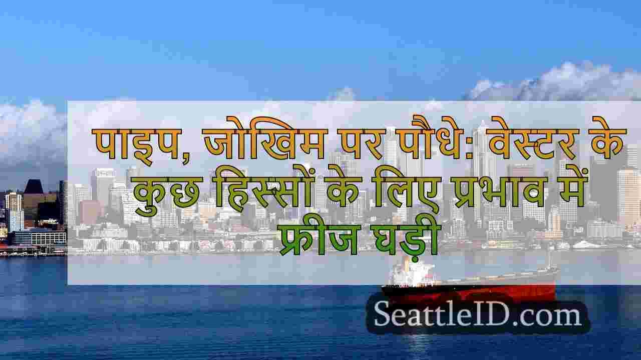सिएटल समाचार SeattleID