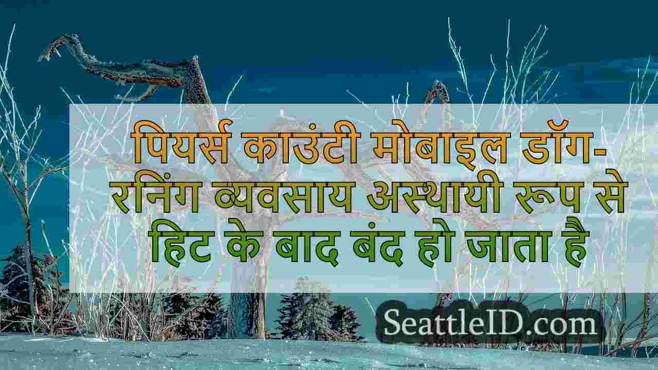 सिएटल समाचार SeattleID