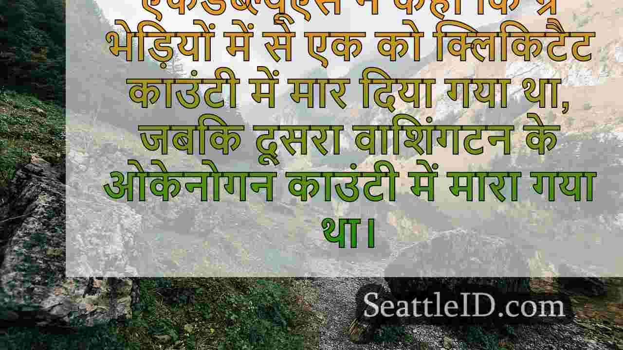 सिएटल समाचार SeattleID