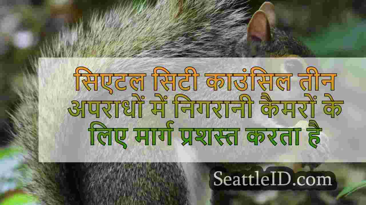 सिएटल समाचार SeattleID