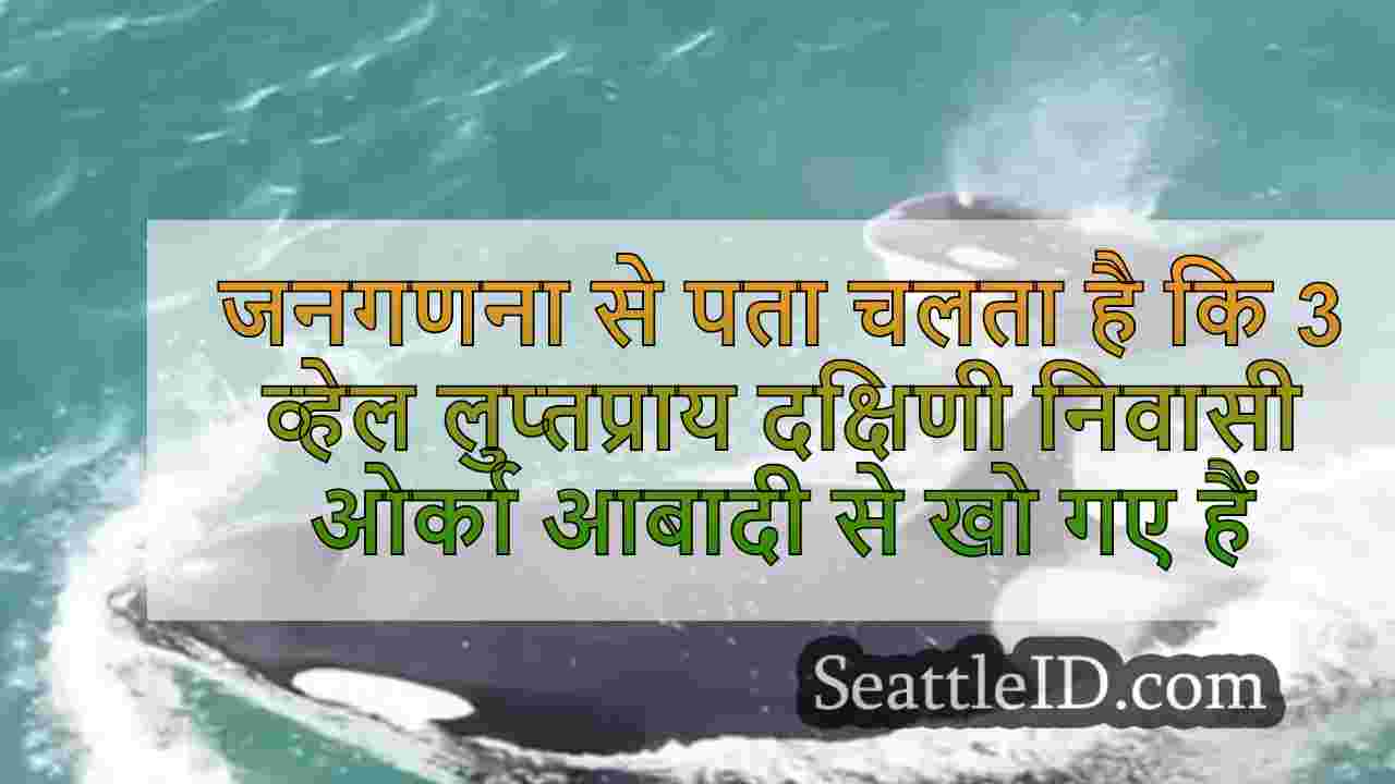 जनगणना से पता चलता है कि 3 व्हेल
