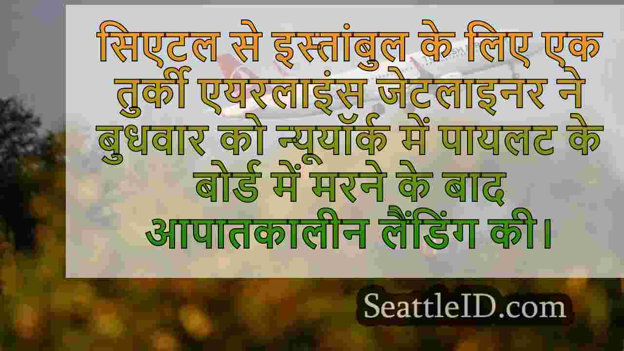 सिएटल से तुर्की एयरलाइंस की उड़ान पायलट