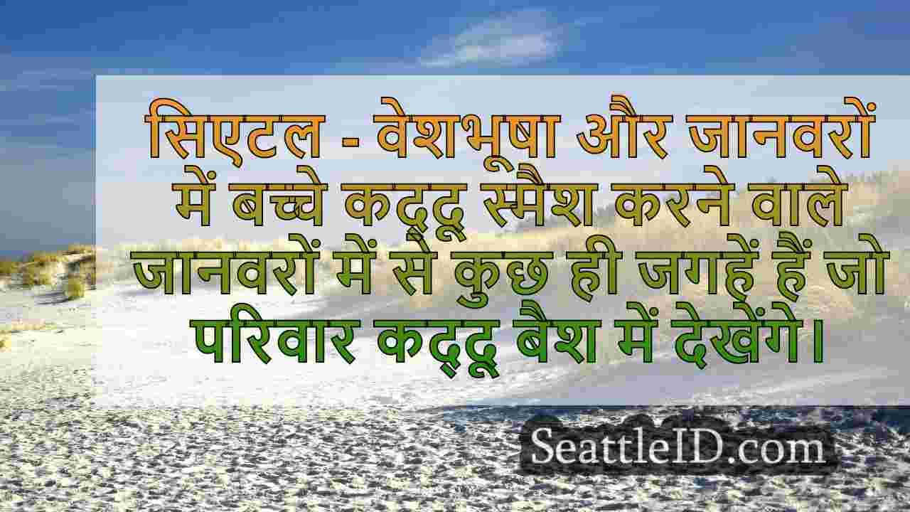 कद्दू बैश सिएटल के वुडलैंड पार्क